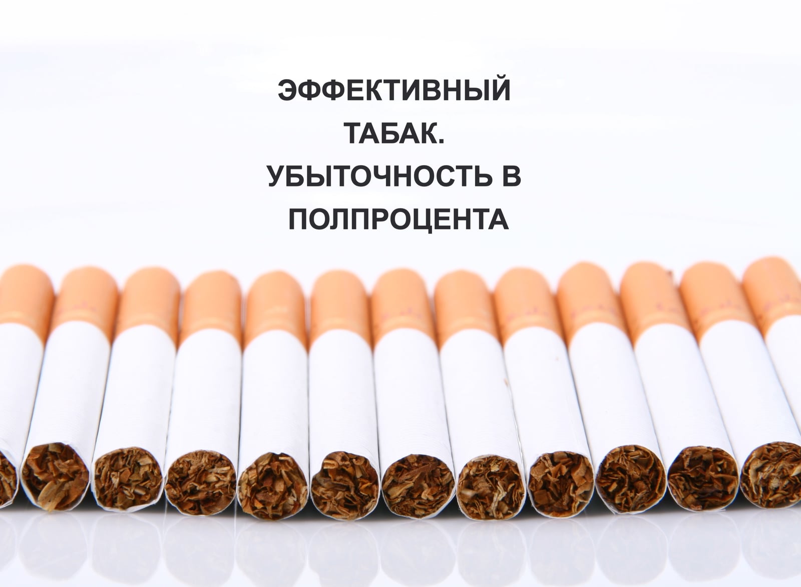 ЭФФЕКТИВНЫЙ ТАБАК. УБЫТОЧНОСТЬ В ПОЛПРОЦЕНТА
