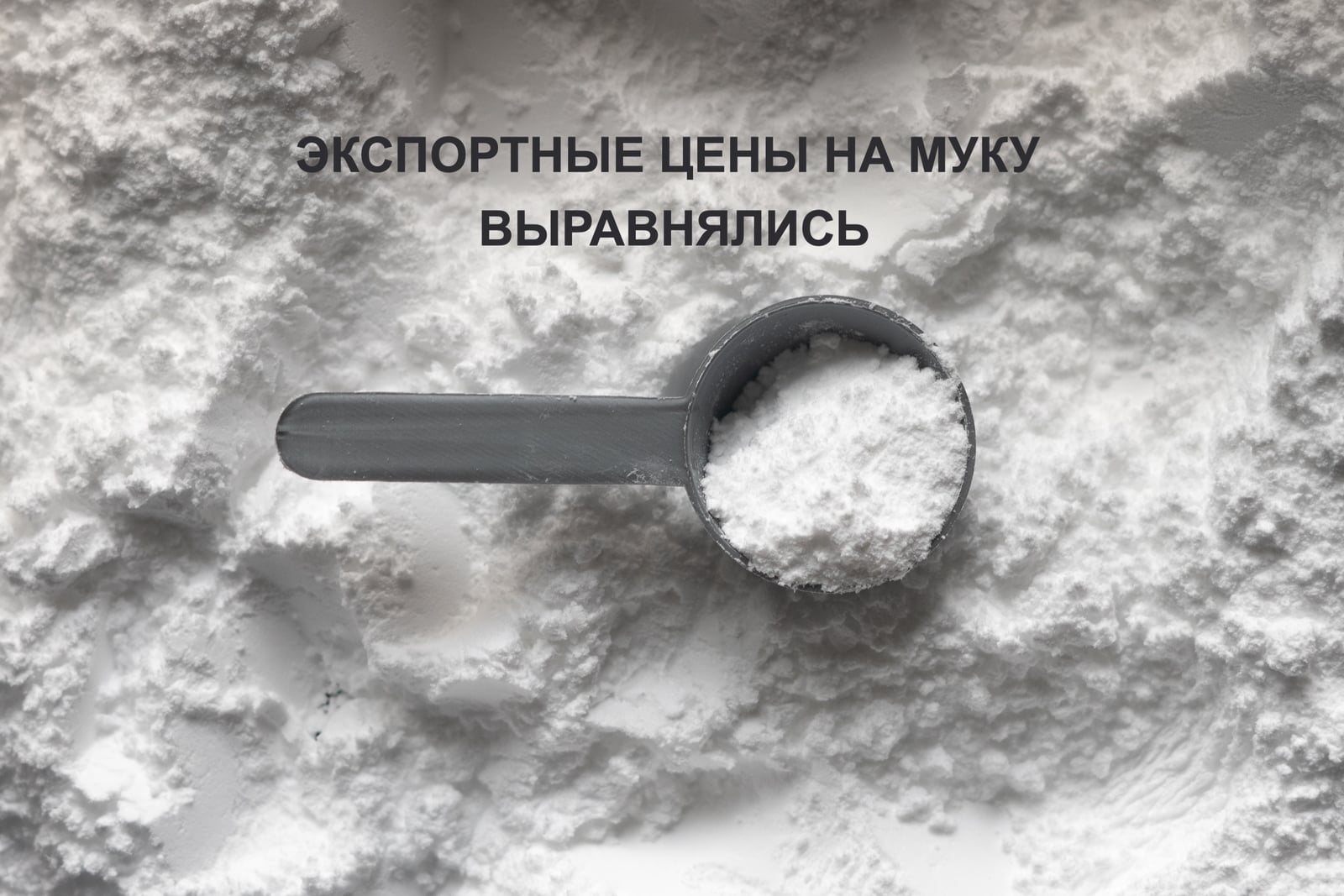 ЭКСПОРТНЫЕ ЦЕНЫ НА МУКУ ВЫРАВНЯЛИСЬ