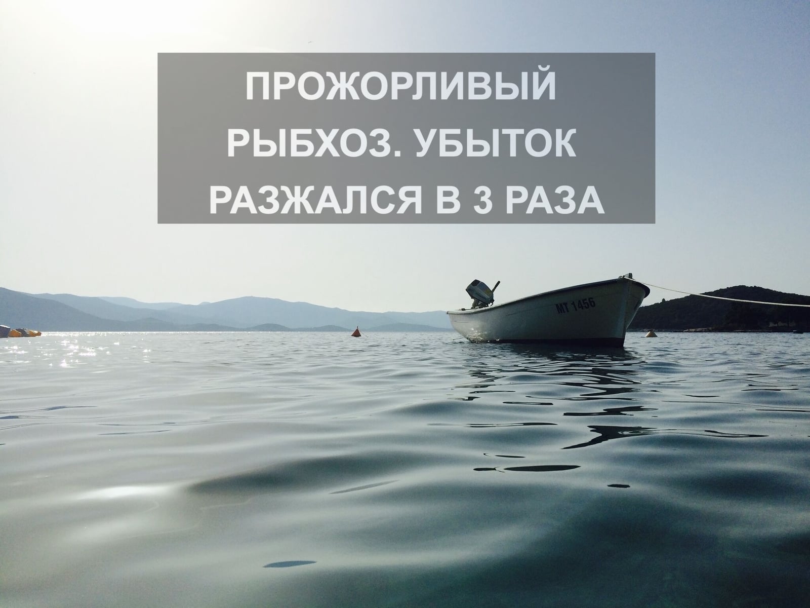 ПРОЖОРЛИВЫЙ РЫБХОЗ. УБЫТОК РАЗЖАЛСЯ В 3 РАЗА