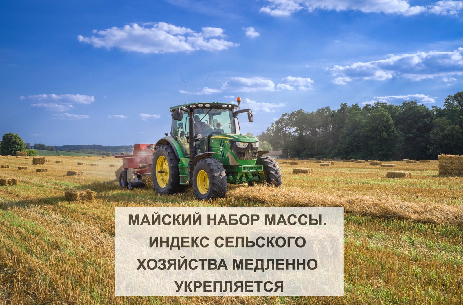 МАЙСКИЙ НАБОР МАССЫ. ИНДЕКС СЕЛЬСКОГО ХОЗЯЙСТВА МЕДЛЕННО УКРЕПЛЯЕТСЯ