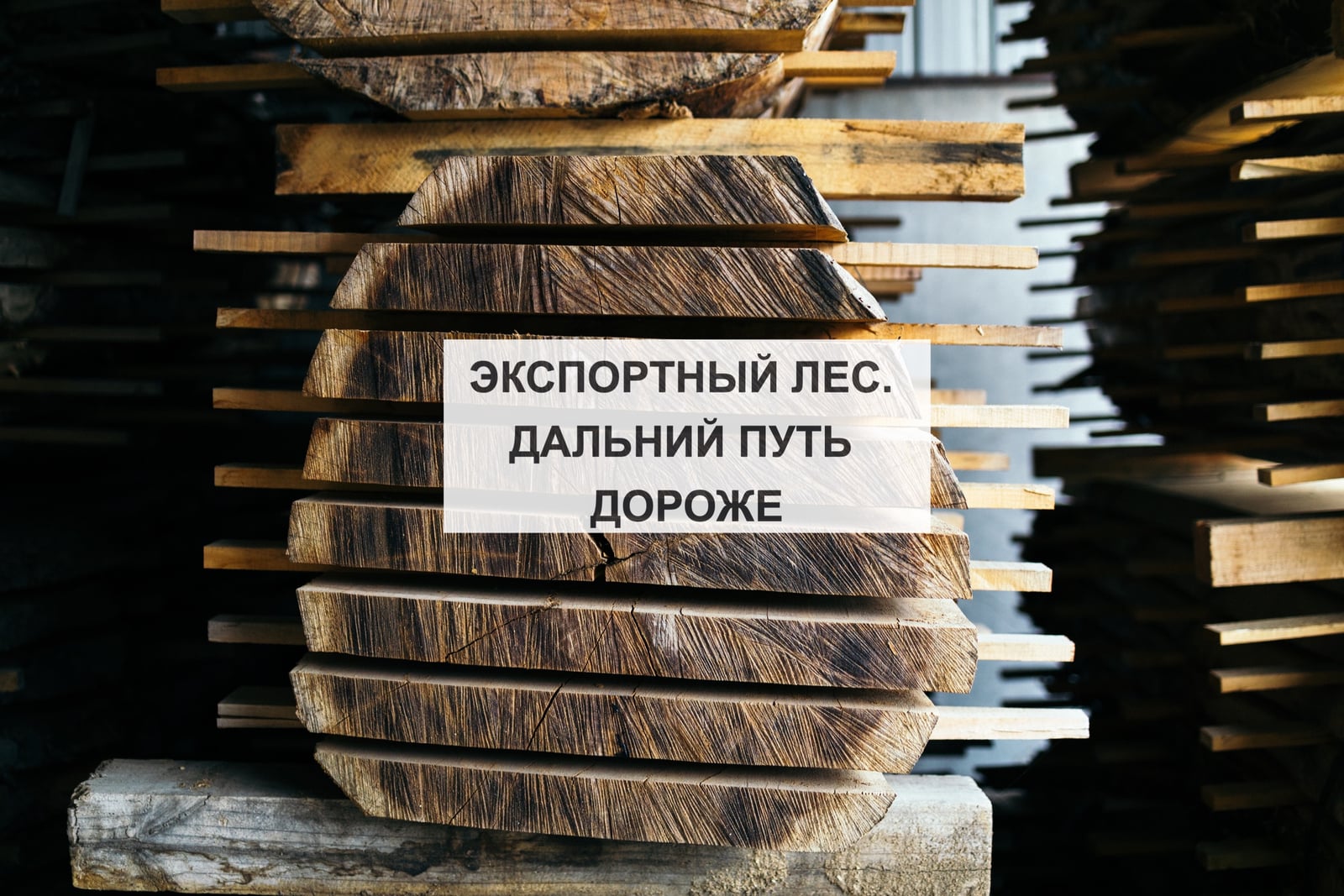 ЭКСПОРТНЫЙ ЛЕС. ДАЛЬНИЙ ПУТЬ ДОРОЖЕ